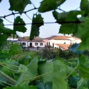 Casa Vacanze Etna Ferienhaus Piedimonte Etneo